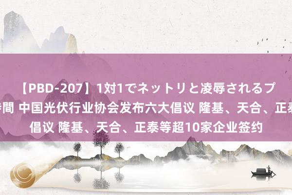 【PBD-207】1対1でネットリと凌辱されるプレミア女優たち 8時間 中国光伏行业协会发布六大倡议 隆基、天合、正泰等超10家企业签约